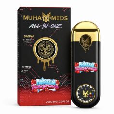 Muha Meds 2G All-In-One - Frozen Pomegranate