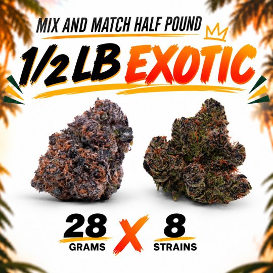 ½ Bundle Exotic (8 × 28G)