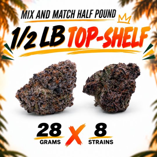 ½ Bundle Top Shelf (8 × 28G)