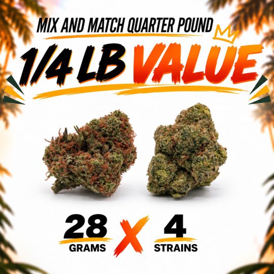 ¼ Bundle Value (4 × 28G)