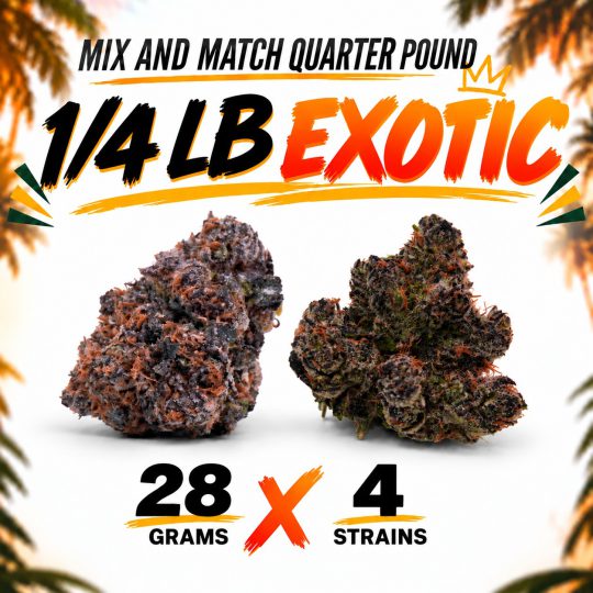 ¼ Bundle Exotic (4 × 28G)