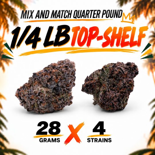 ¼ Bundle Top Shelf (4 × 28G)